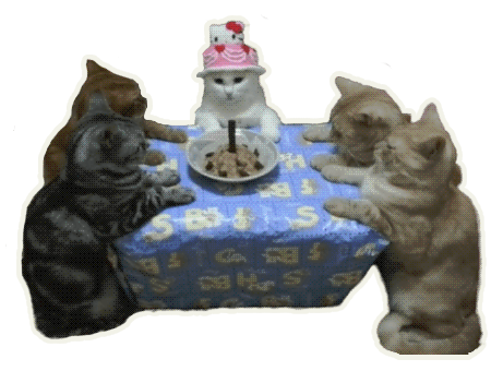 Five cats sit around a table. In the center of the table is a dish with food on it and a single candle. One cat is wearing a Hello Kitty hat. It looks like the cats are performing a seance.